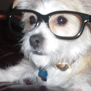 Meet your Posher, Jeffrey